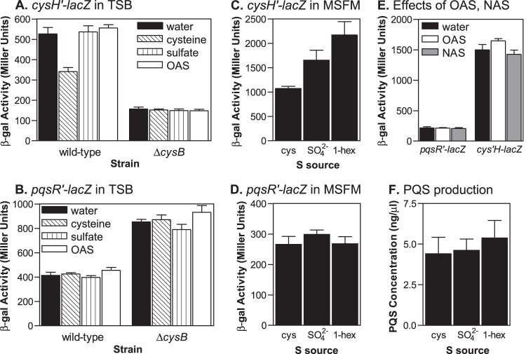 FIG 6