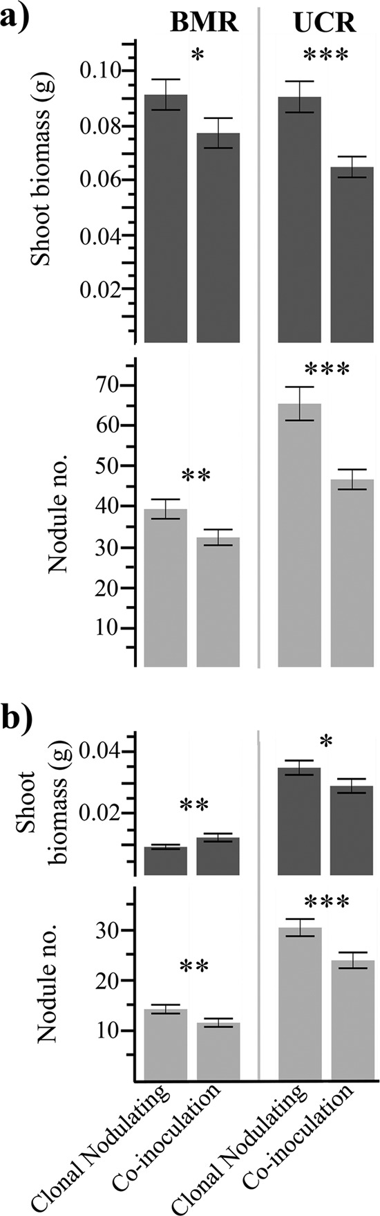 FIG 1