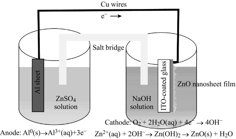 Fig. 1