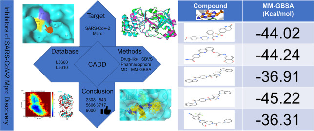 graphic file with name 894_2023_5534_Figa_HTML.jpg