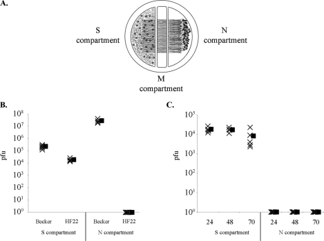 FIG. 3.