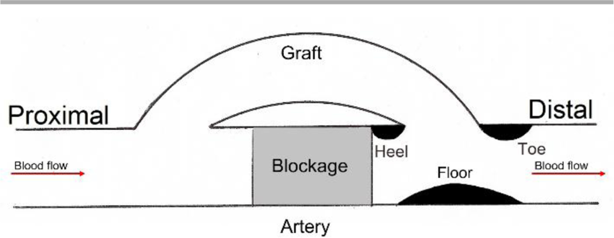 Figure 2.