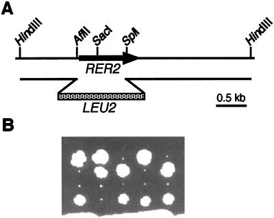 FIG. 8