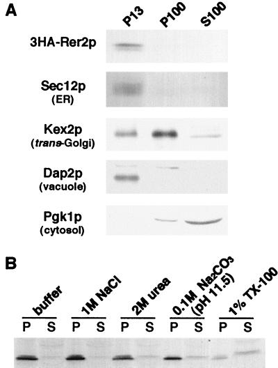 FIG. 9