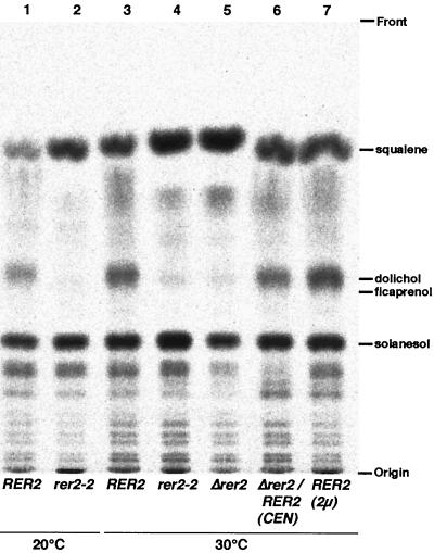 FIG. 12