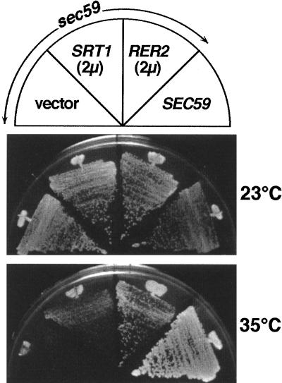 FIG. 13