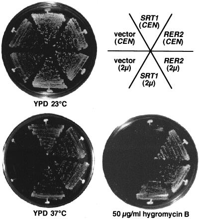 FIG. 6