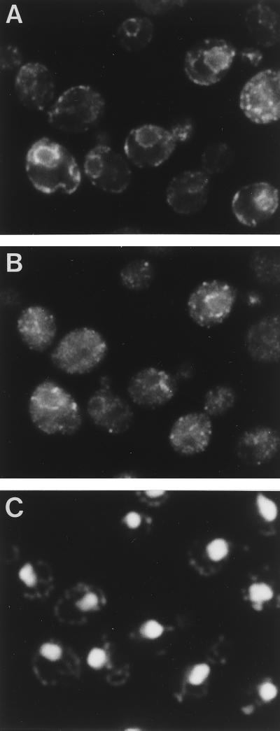 FIG. 11