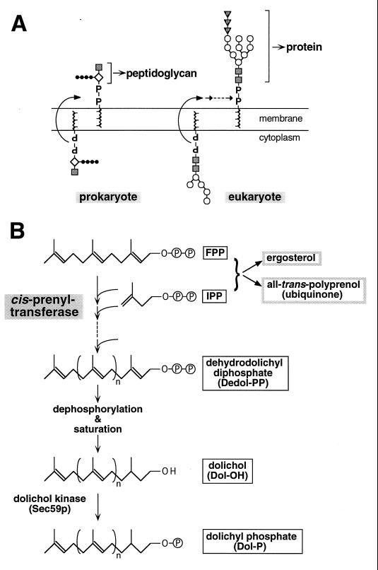 FIG. 14