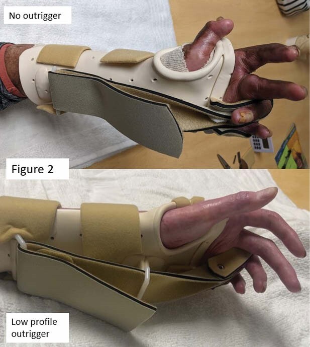 graphic file with name irad045.160_fig21.jpg