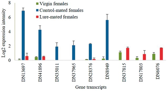 Fig. 3.