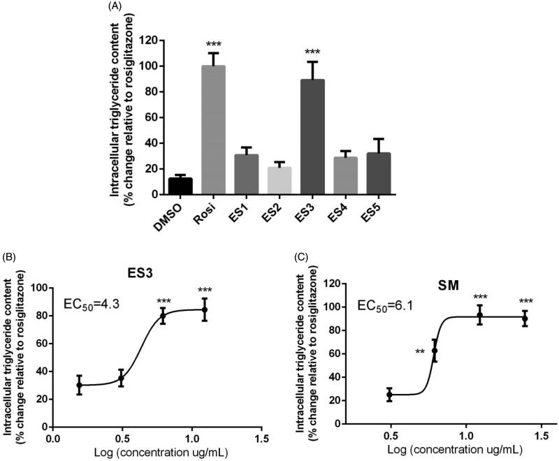 Figure 4.