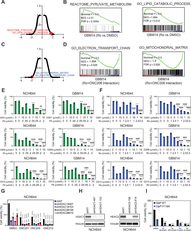 Figure 1. Activation of the ClpP protease along with inhibition of HDAC1/2 causes synthetic lethality in GBM model systems. A and B, GBM14 cells were treated with 2.5 nmol/L romidepsin for 24 hours and were submitted for microarray analysis followed by GSEA. Shown in A is a volcano plot (FDR-q vs. NES). Highlighted is the NES of Reactome_Pyruvate_Metabolism and Go_Lipid_Catabolic_Process gene sets derived from GSEA. Shown in B is the gene set enrichment analysis. NES, normalized enrichment score, FDR-q-value (n = 2). C and D, GBM14 cells were treated with 10 µmol/L ONC206 and 2.5 nmol/L Romidepsin for 24 hours and were submitted for microarray analysis followed by GSEA. Shown in C is a volcano plot (FDR-q vs. NES). Highlighted is the NES of Go_Mitochondrial_Matrix and Go_Electron_Transport_Chain gene sets derived from GSEA (interaction analysis of the combination treatment). Shown in D is the gene set enrichment analysis (n = 2). E, NCH644 and GBM14 cells were treated with ONC201, ONC206, or ONC212 (1 µmol/L and 10 µmol/L) in the presence or absence of panobinostat (50 nmol/L and 200 nmol/L) for 72 hours and cellular viability analysis was performed (n = 5). F, NCH644 and GBM14 cells were treated with ONC201, ONC206, or ONC212 (1 µmol/L and 10 µmol/L) in the presence or absence of romidepsin (1 nmol/L and 2.5 nmol/L) for 72 hours and cellular viability analysis was performed (n = 5). *, The statistical analysis was performed between imipridones and combination treatment, # the statistical analysis was performed between Pb/Ro and combination treatment. **, P < 0.01; ***/****, P < 0.001; ##, P < 0.01; ####, P < 0.001. G, Cellular viability of NCH644 cells transduced with shRNA against HDAC1 or HDAC2 in the presence or absence of ONC201, ONC206, or ONC212 (n = 4). * the statistical analysis was performed between shNT and shHDAC1/2, + the statistical analysis was performed between imipridones and DMSO treatment. H, Protein capillary electrophoresis of NCH644 cells transduced with shRNA against HDAC1 or HDAC2. Vinculin is used as a loading control. I, Stable ClpP-wild-type or ClpP-Y118A NCH644 cells were treated with panobinostat/romidepsin for 72 hours and cellular viability analysis was performed (n = 4). Statistical significance was assessed ANOVA with Dunnett multiple comparison test in (E–G) and by two-tailed Student t test in I.