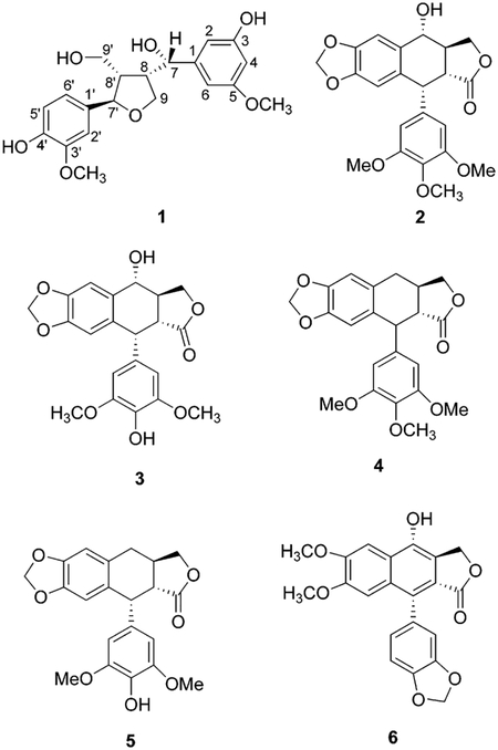 graphic file with name nihms-1844588-f0001.jpg