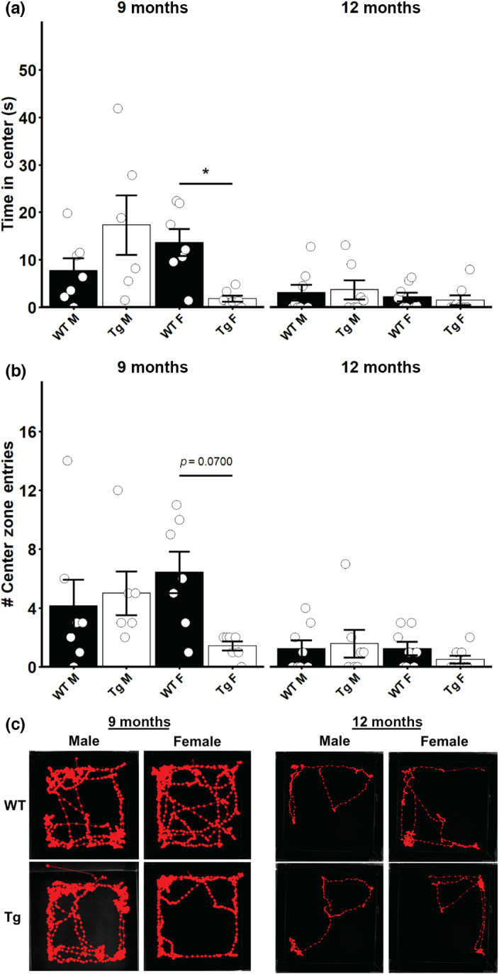 FIGURE 6