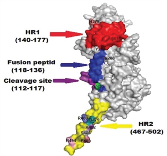 Figure-4