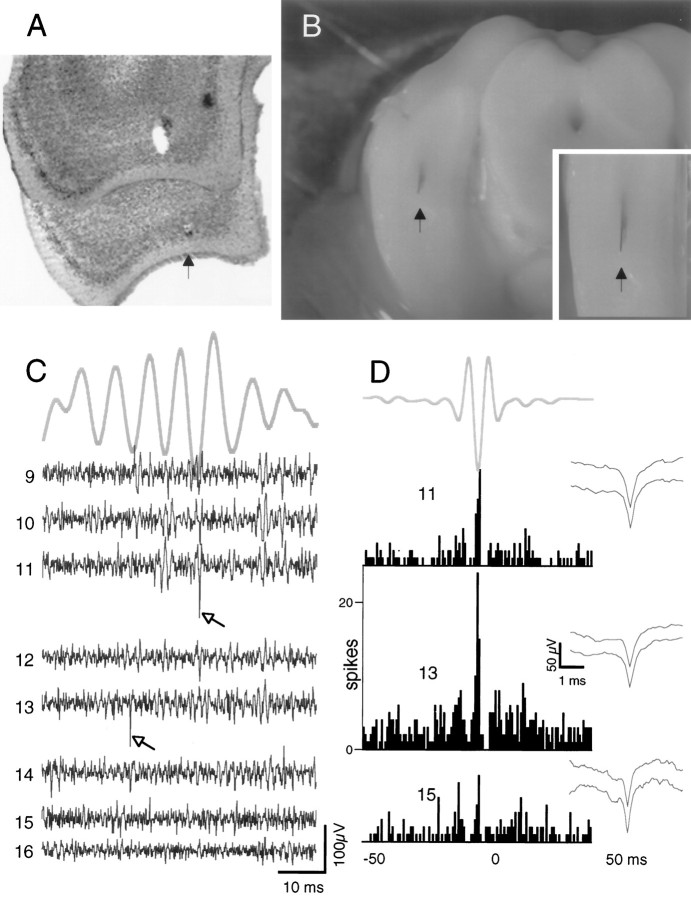 Fig. 5.