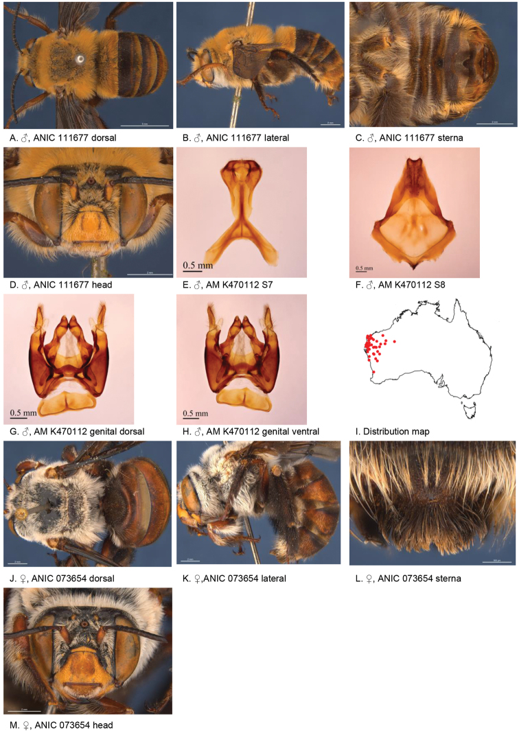 Figure 10.