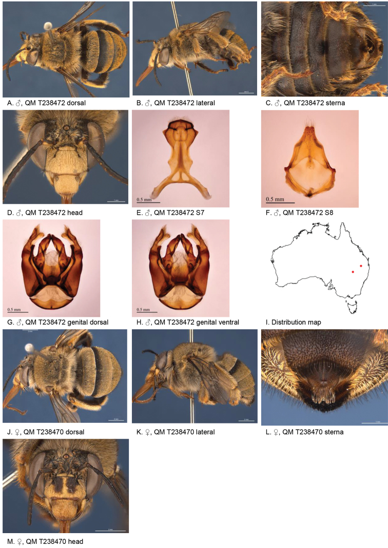 Figure 13.