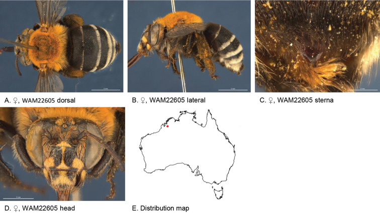 Figure 15.