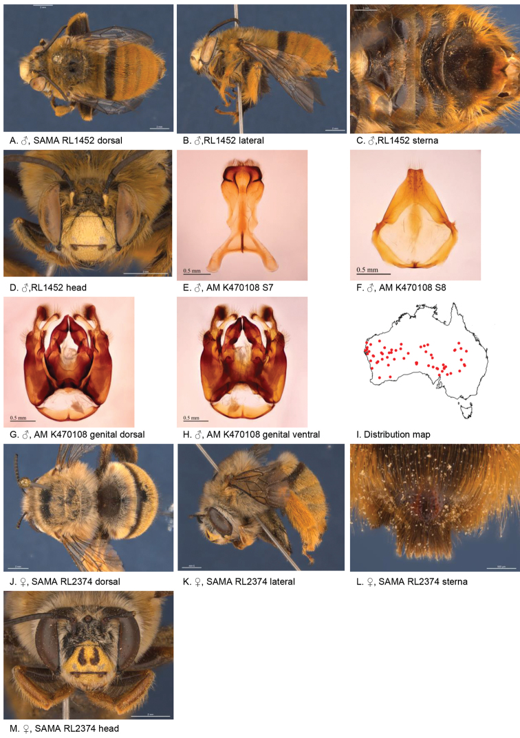 Figure 20.