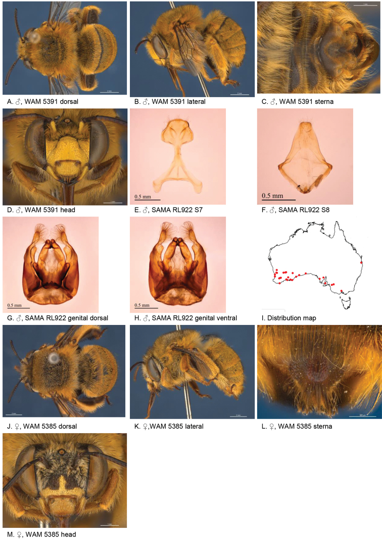 Figure 12.