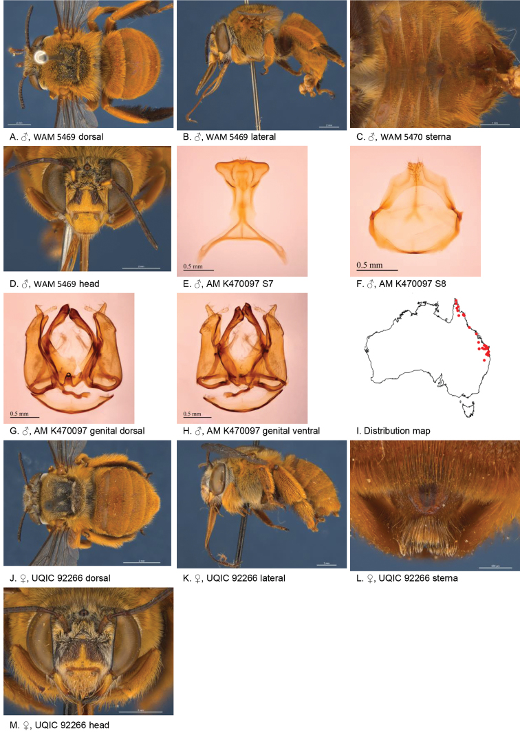 Figure 19.