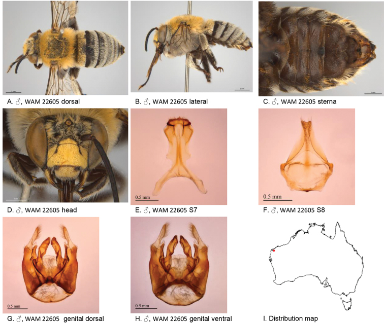 Figure 16.