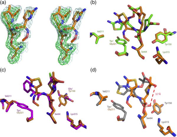 Figure 7