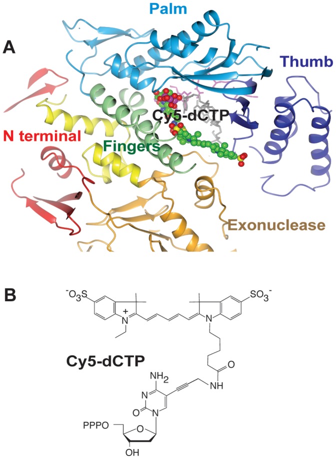 Figure 9