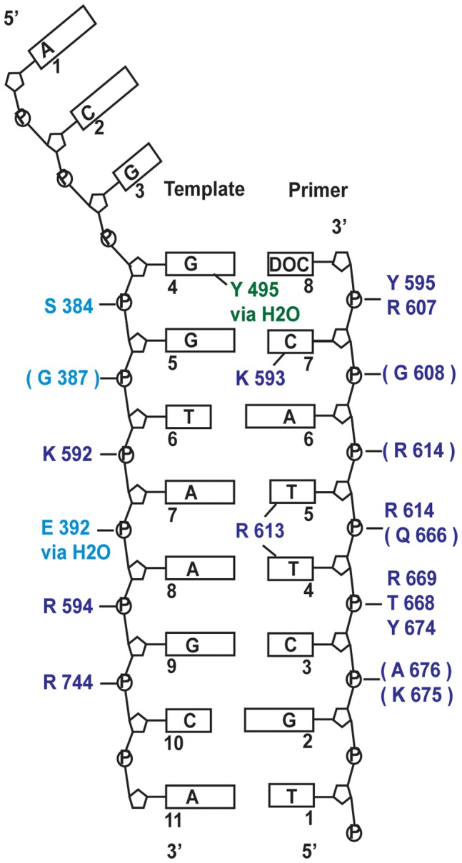 Figure 6