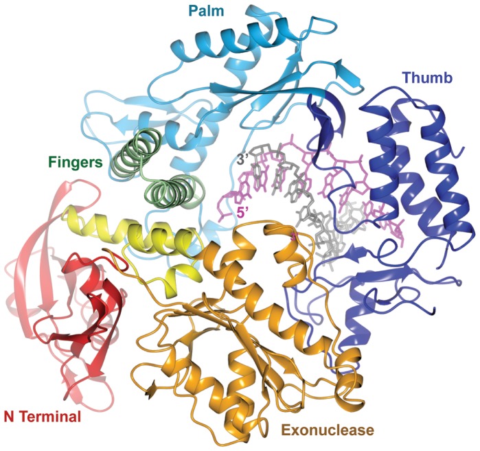 Figure 4