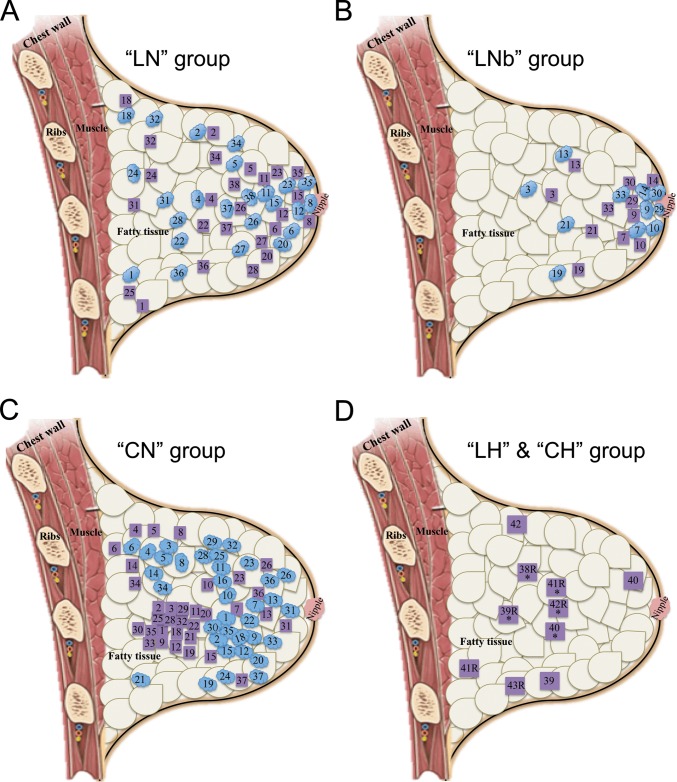 FIG 1