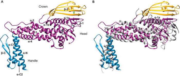 Fig. 1