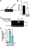 Figure 2—figure supplement 2.