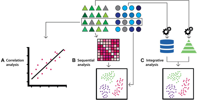 FIGURE 2