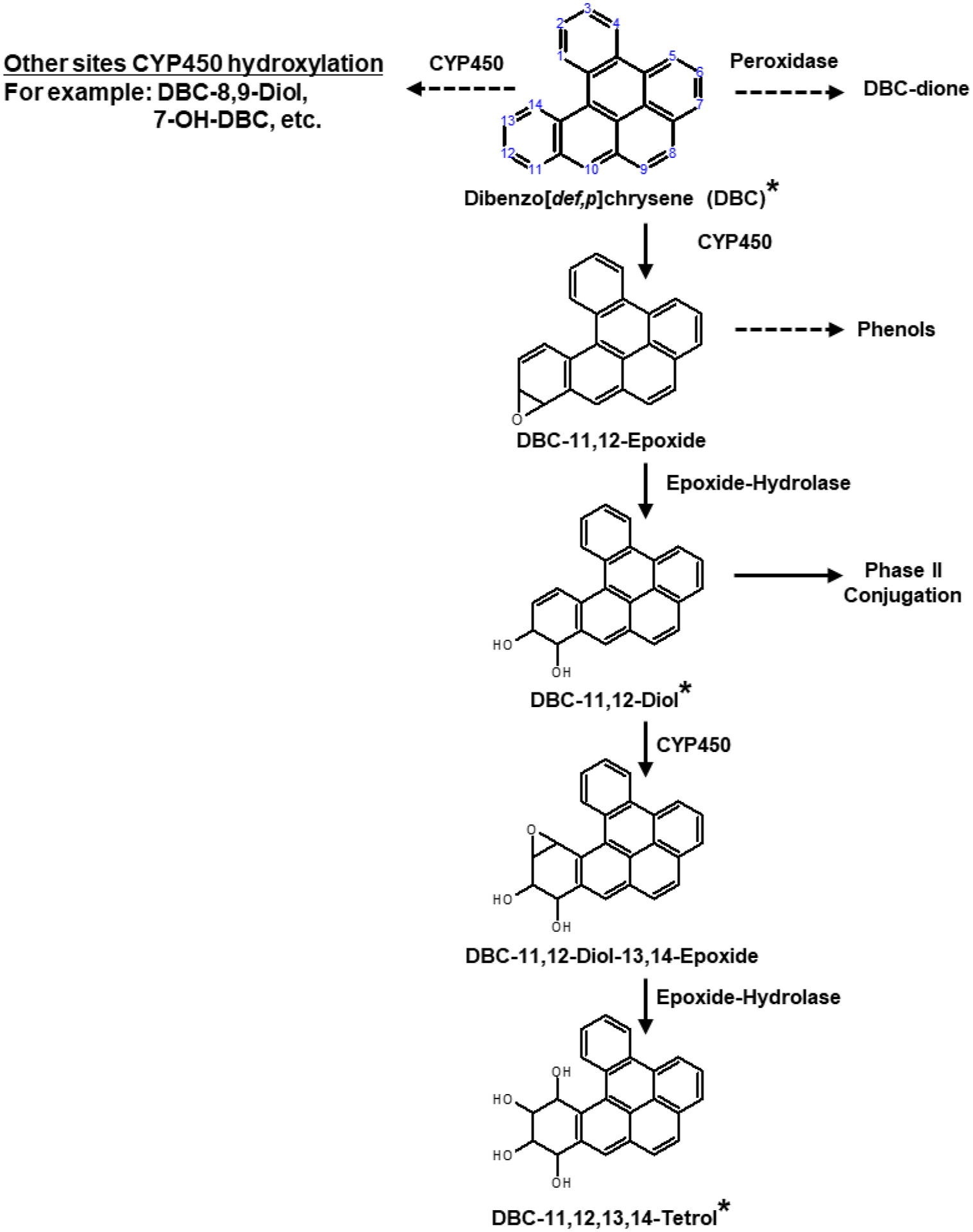 Figure 1: