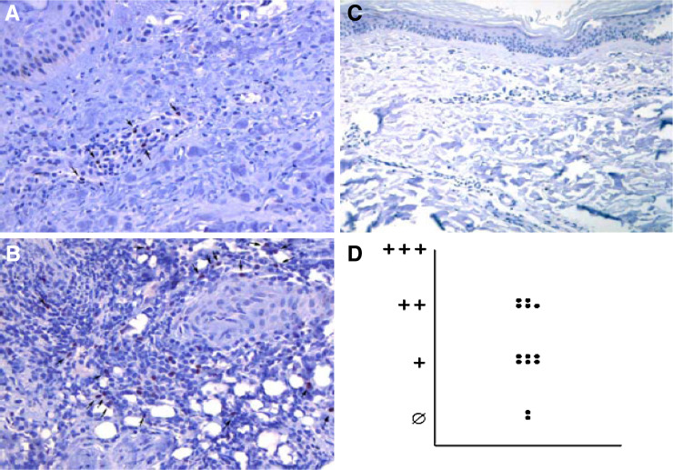 Fig. 4