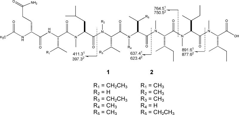 Figure 2