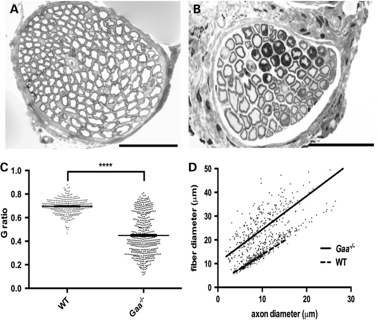 Figure 3.