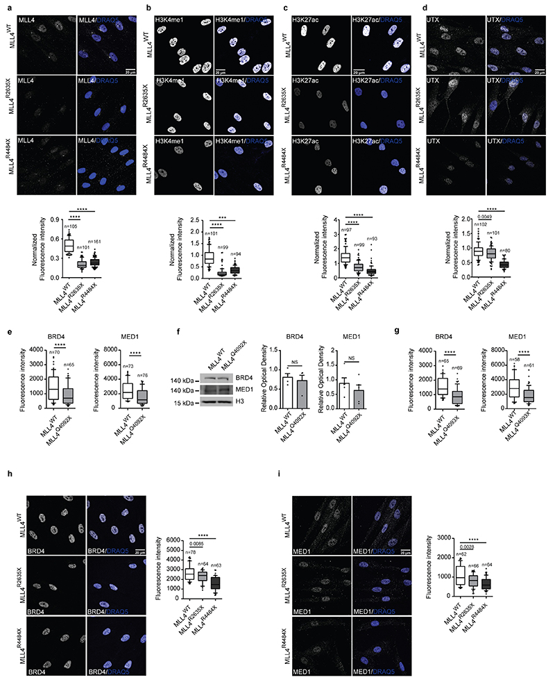 Extended Data Fig. 2