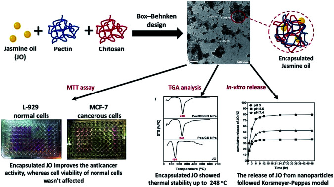 graphic file with name c9ra10204c-ga.jpg