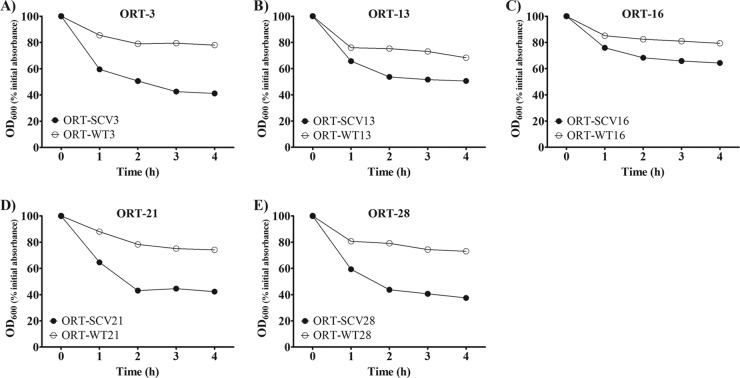 Fig 4