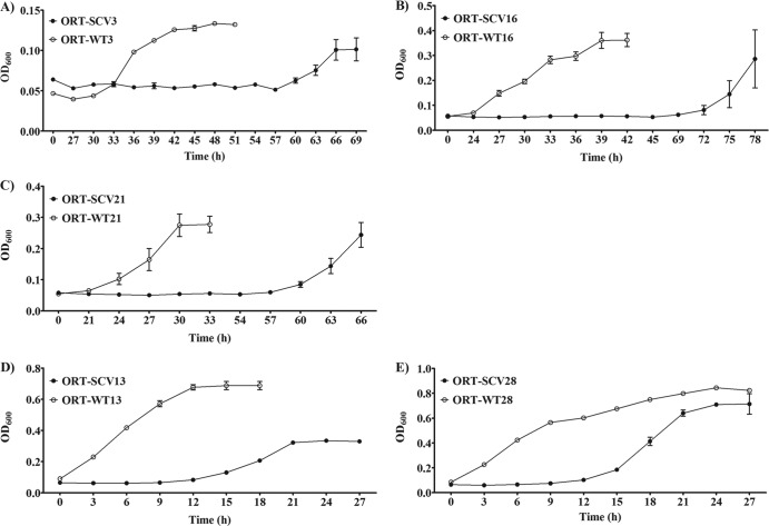 Fig 3