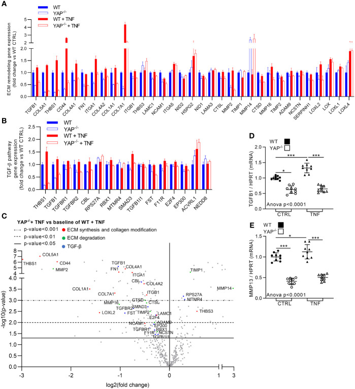 Figure 6