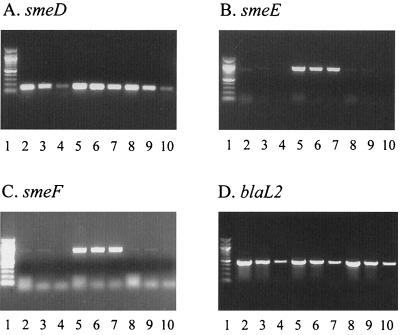 FIG. 1