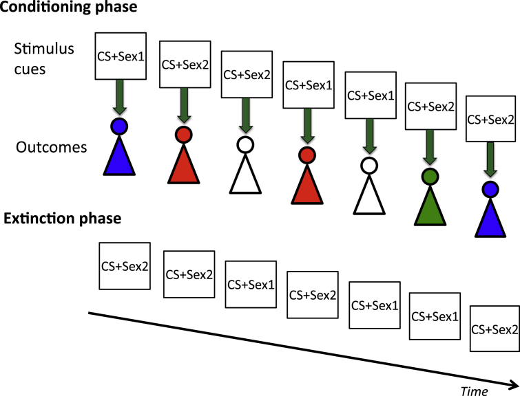 Fig. 4