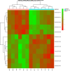 Fig.2