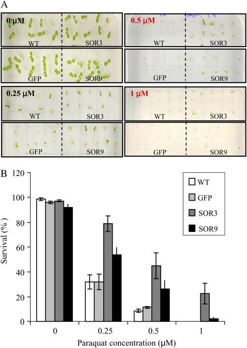 Figure 5.