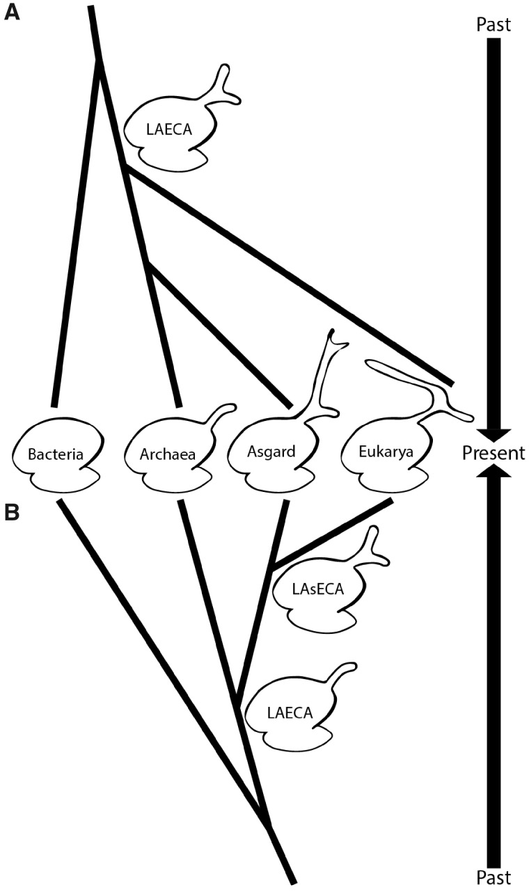 Fig. 7.